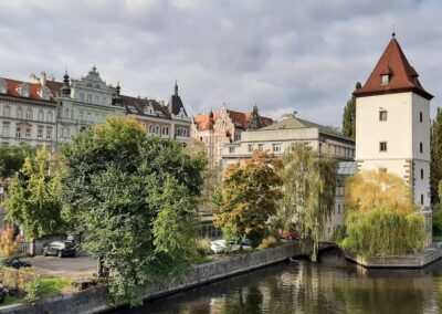 whatsapp image 2025 10 17 à 14.45.54 55c1b9df