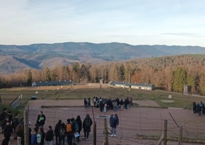 whatsapp image 2025 12 11 at 09.09.15 (1)