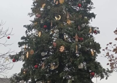 whatsapp image 2025 12 11 at 09.09.43