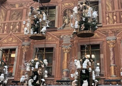 whatsapp image 2025 12 11 at 09.09.44